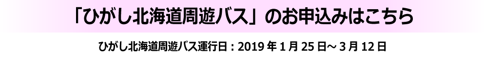 冬運航(2019年1月25日~3月12日