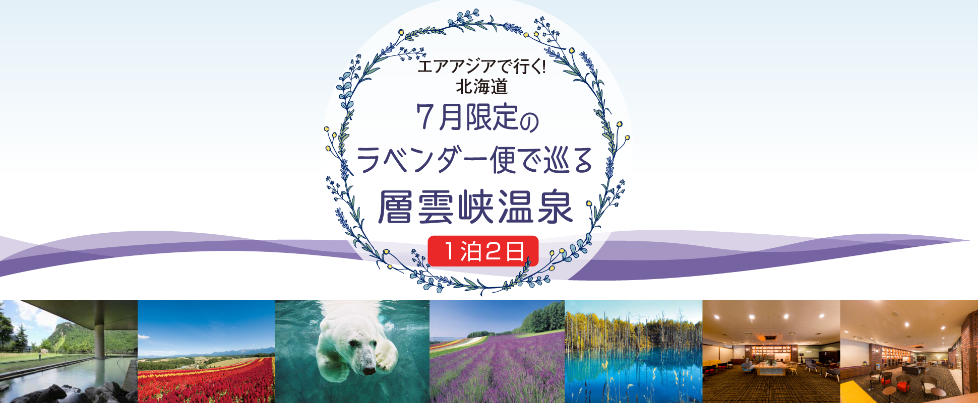 エアアジアで行く北海道!7月限定のラベンダー便で巡る層雲峡温泉1泊2日