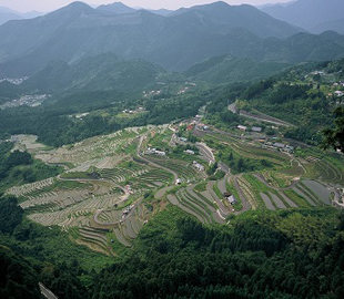 風伝峠・通り峠と丸山千枚田