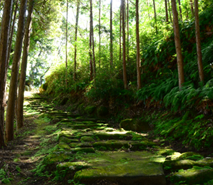 波田須の道～大吹峠