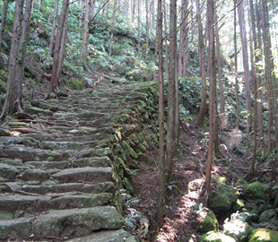 松本峠（B）