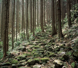 二木島峠・逢神坂峠