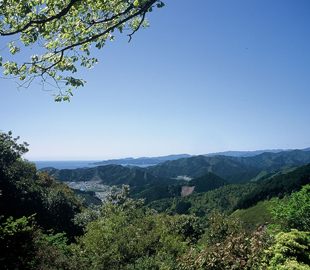 ツヅラト峠（A）