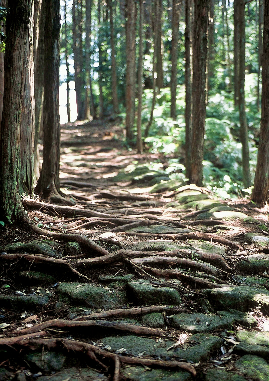 松本峠