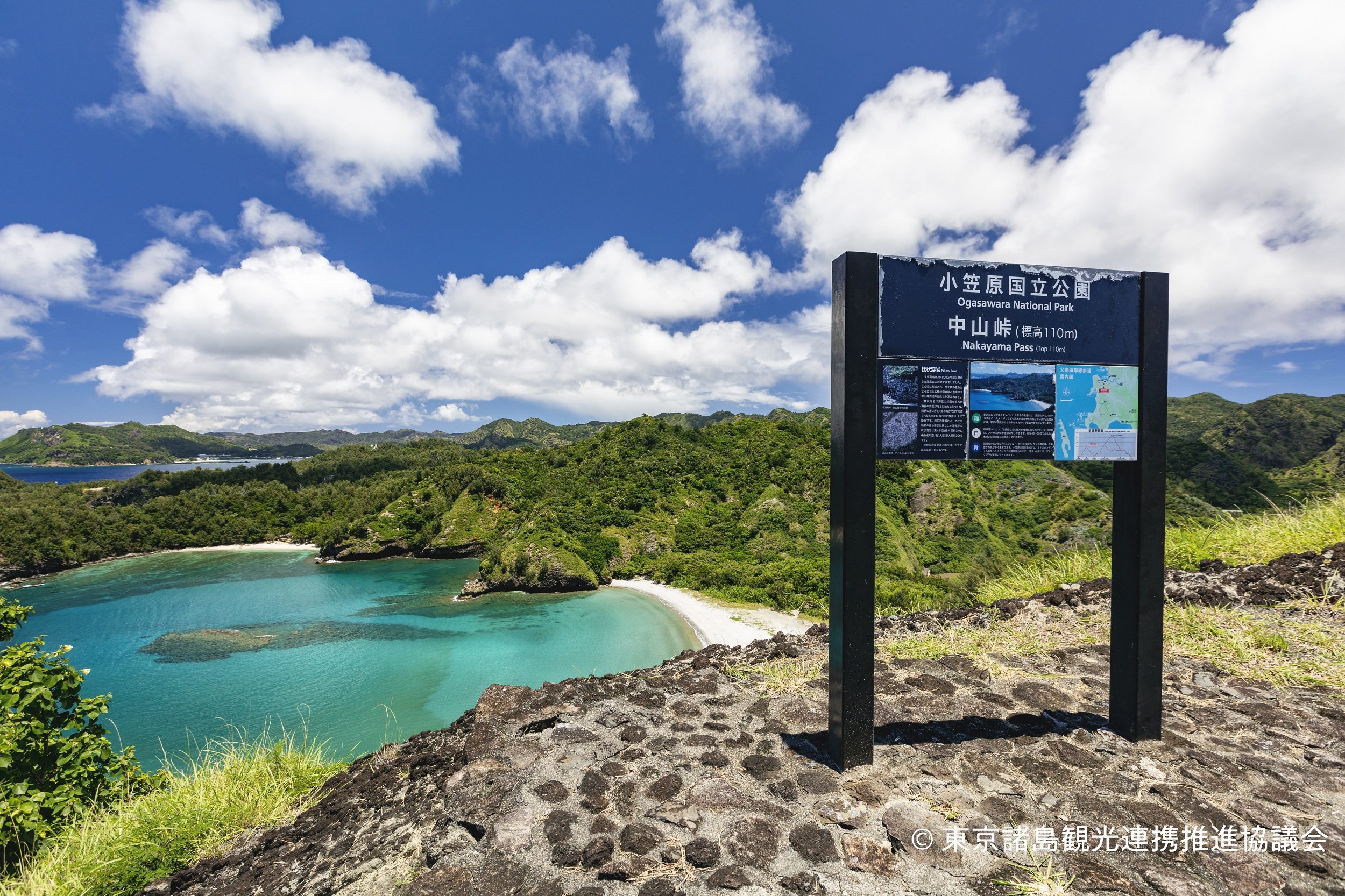 小笠原山ツアーイメージ